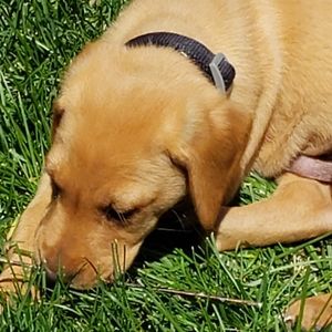 Meet your Posher, Patty